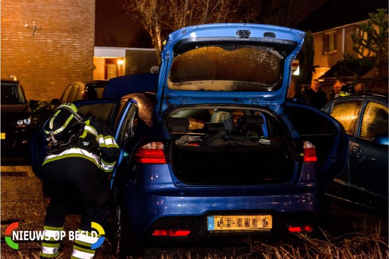 Auto verwoest door brand Papaver Hoogvliet