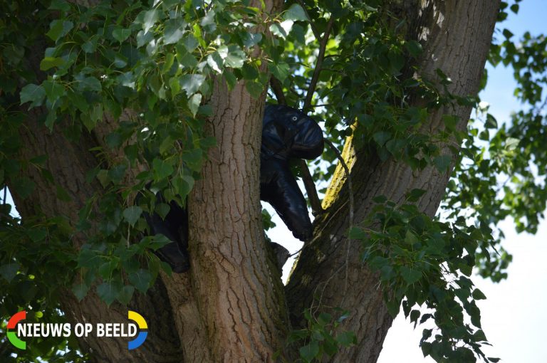 Jeugdbrandweer Lansingerland oefent 24 uursdienst Berkelsepoort Berkel en Rodenrijs