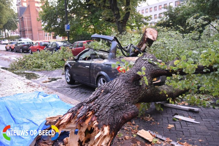 Dode en zwaargewonde nadat boom op auto valt Westersingel Rotterdam