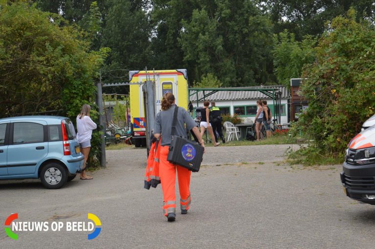 Man gewond na val uit boom Atalanta Hellevoetsluis