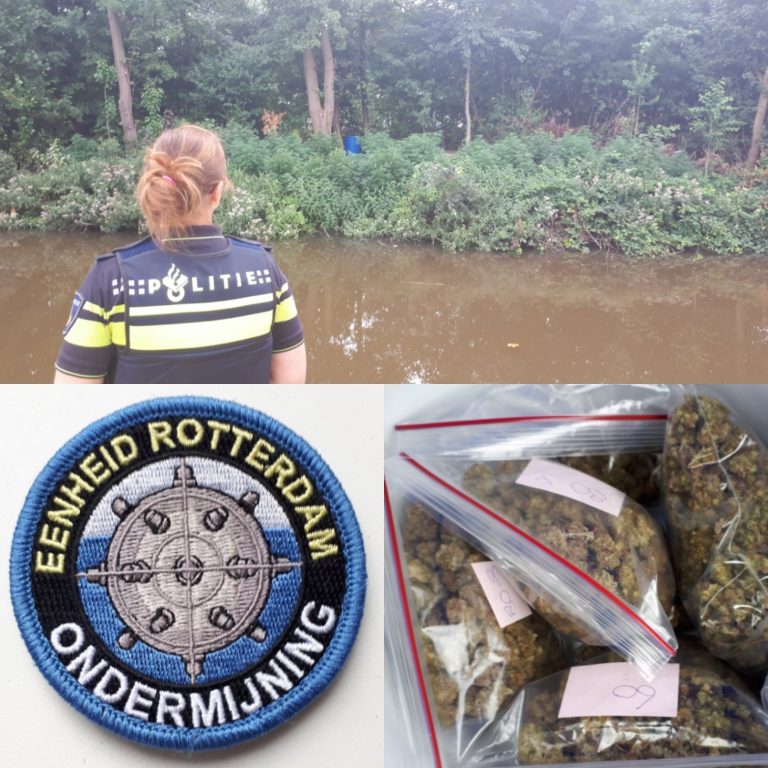 Hennep en hennepplanten aangetroffen in volkstuin Rotterdam