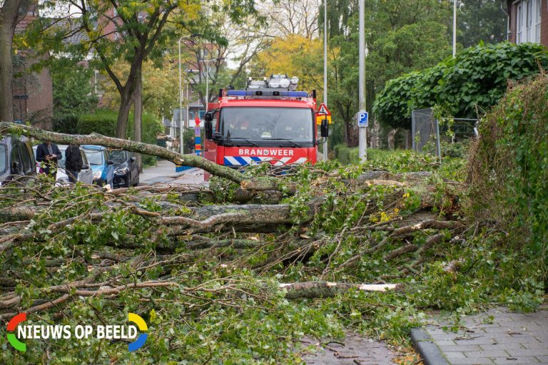 Storm Ciara op komst; wat te doen bij stormschade