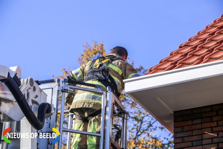 Kat springt uit dakgoot bij reddingspoging Evertsenstraat Amersfoort