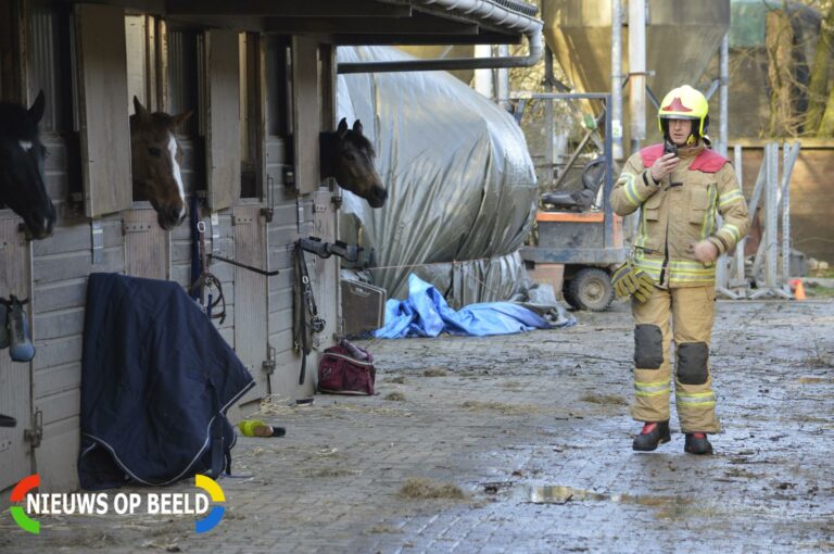 Boom valt op paardenschuur Bosweg Bergschenhoek