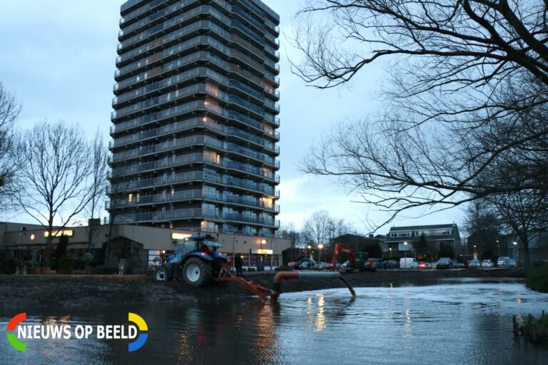 Flinke vissterfte door werkzaamheden Albert Schweitzerlaan Krimpen aan den IJssel (video)