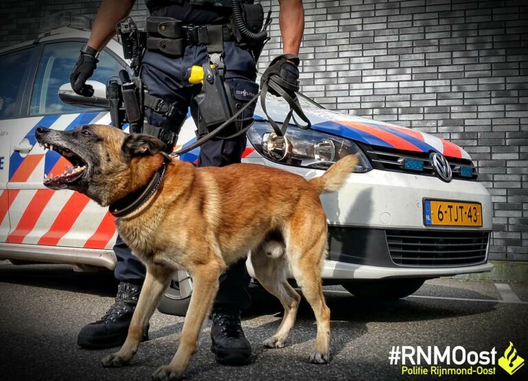 Criminele jeugdgroep Capelsebrug gebeten door politiehond na inbraak woning
