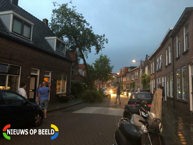 boom valt tegen huis Meester D.J. van Heusdestraat Gouda