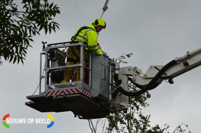 Brandweer verwijderd gevaarlijk hangende tak Rivierenlaan Pijnacker