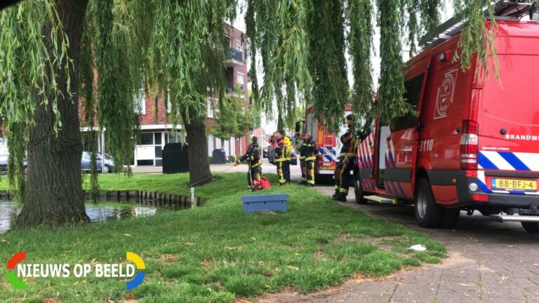 Brandweerduikers zoeken naar sporen van eerder ongeval Walvisstraat Gouda