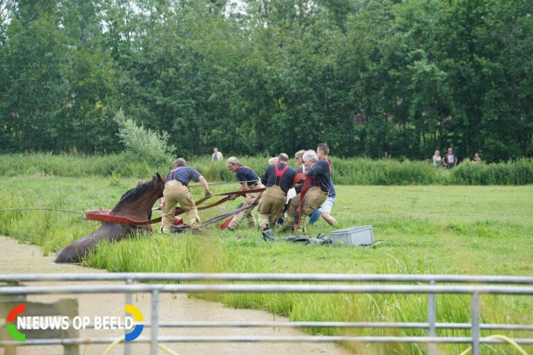 Brandweer haalt paard uit sloot Wollefoppenpark Wollefoppenpark Rotterdam