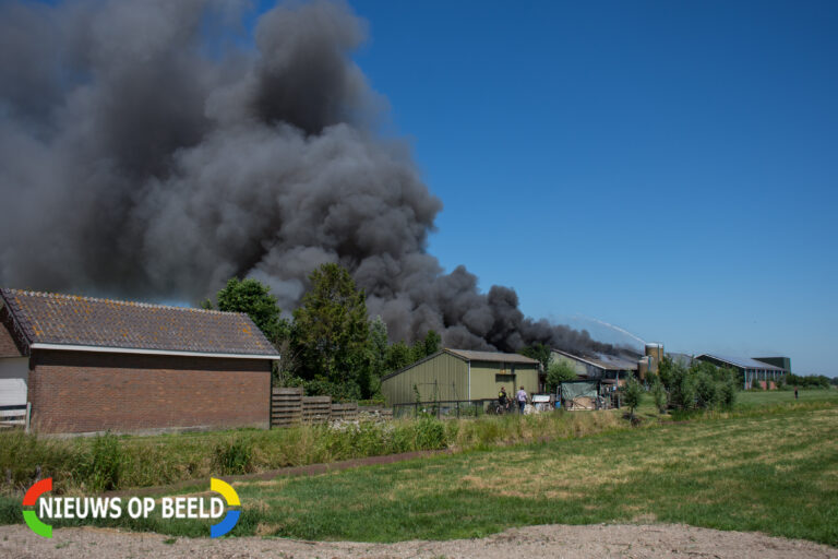 Varkens omgekomen na grote brand in schuur Linschoten (video)