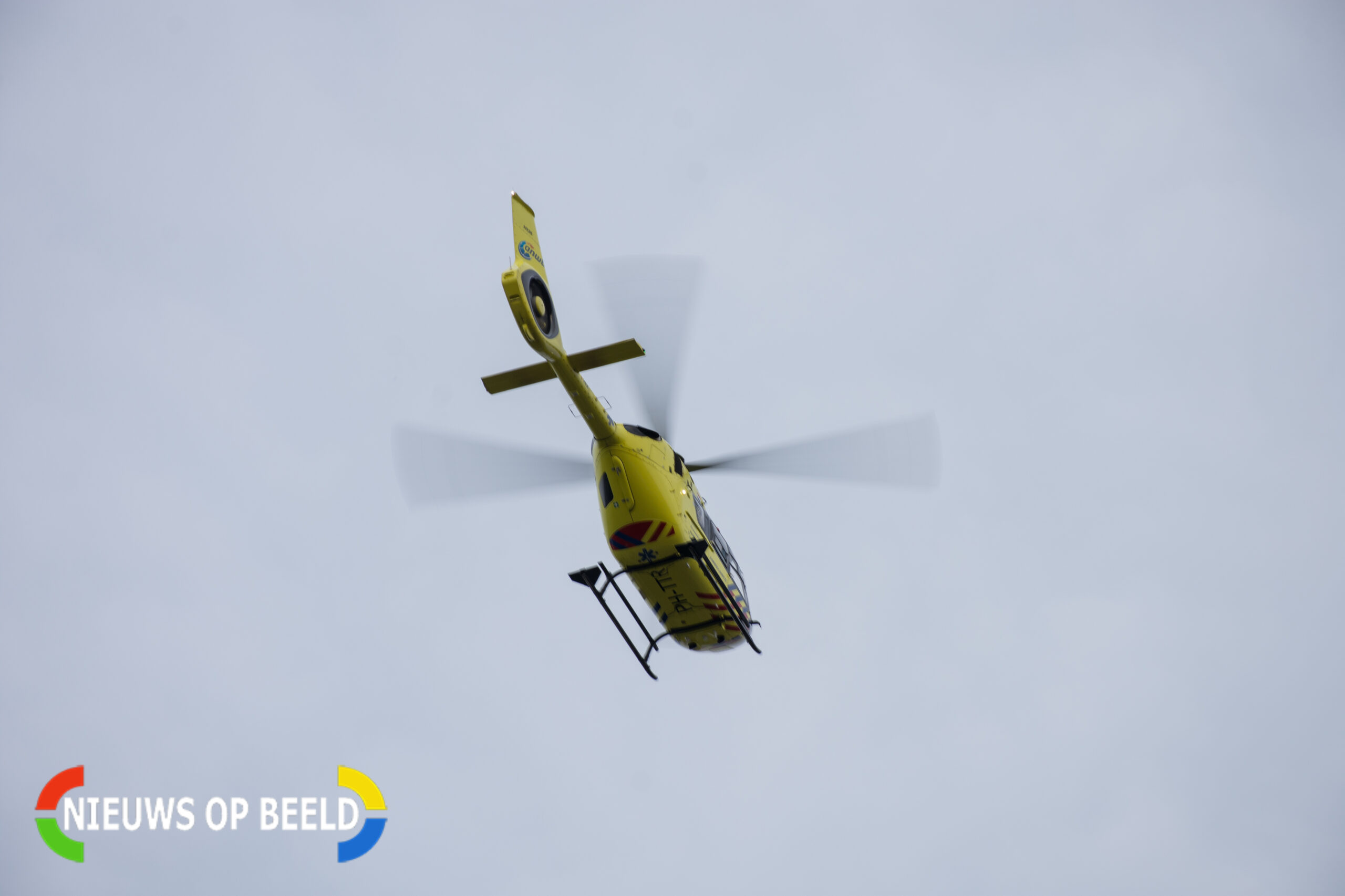 NOB-8