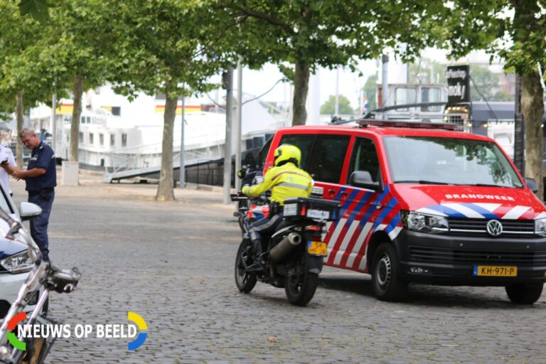 Magneetvisser vissen granaat op Maasboulevard Maastricht