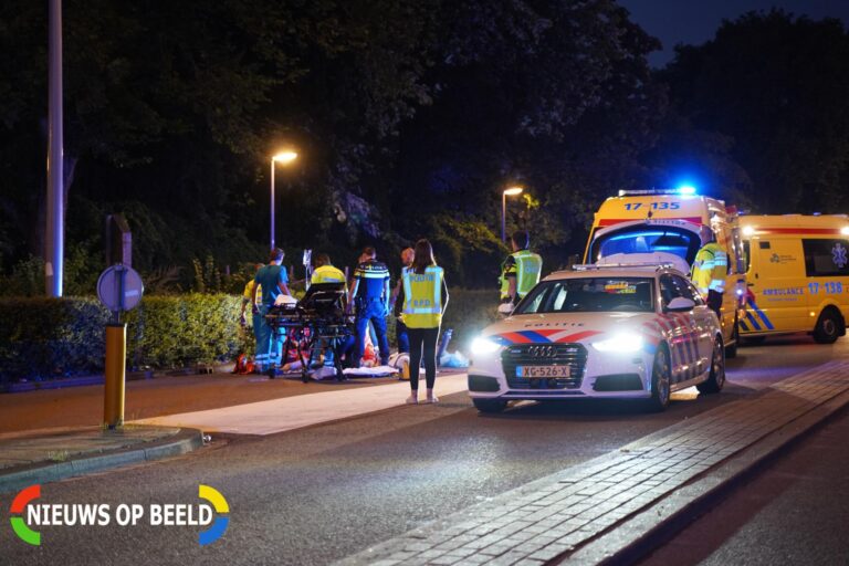 Anderhalf jaar celstraf voor automobilist die vrouw (70) en hond doodreed op Gordelweg Rotterdam