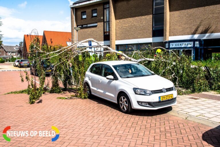 Boom valt op auto door harde wind Bernhardstraat Rhoon