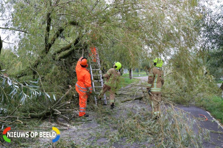 Omgevallen boom blokkeert straat ‘s-Gravenweg Capelle aan den IJssel (video)