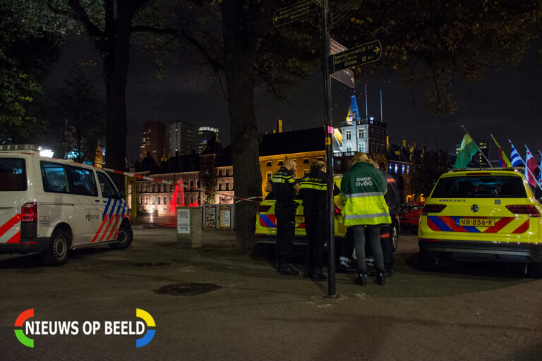 Onderzoek na vondst doodzieke meeuwen in en rondom Hofvijver Den Haag