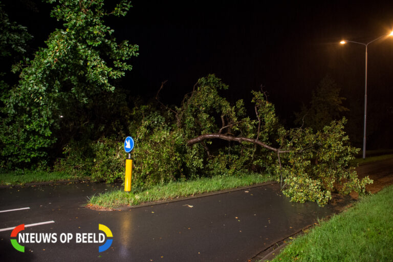 Boom breekt door wind en blokkeert Oude Trambaan Leidschendam