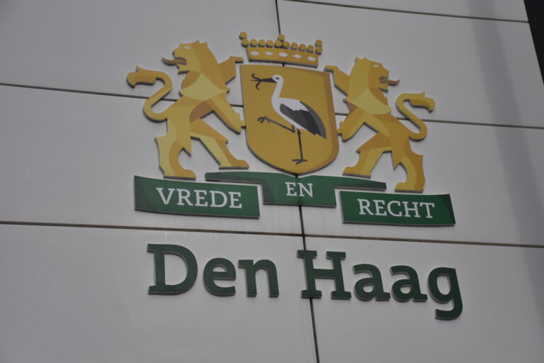 Burgemeester Pauline Krikke van Den Haag stapt op