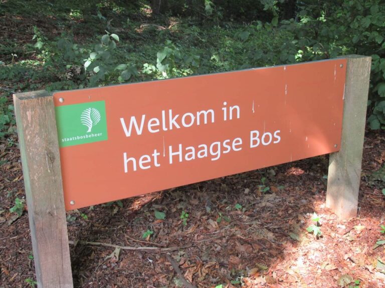 Drie jongens slachtoffer van gewelddadige beroving in Haagse Bos