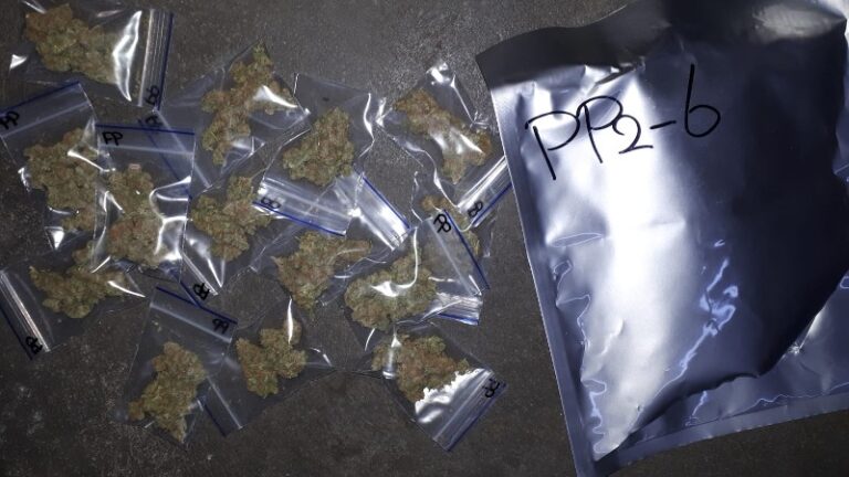 Drugsdealer aangehouden in Middelharnis