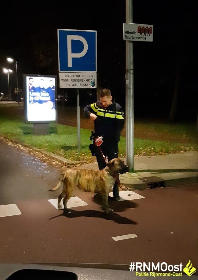 All-in service bij politie na melding achtergelaten hond Capelle aan den IJssel