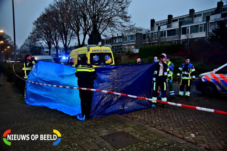 Tien jaar celstraf voor moord in Hoogvliet