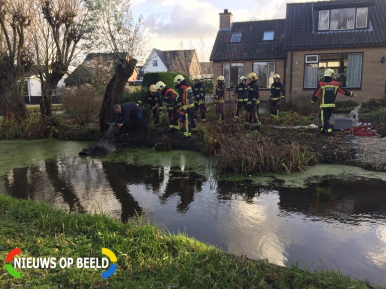 Twee personen en paard te water geraakt Achterwillenseweg Gouda