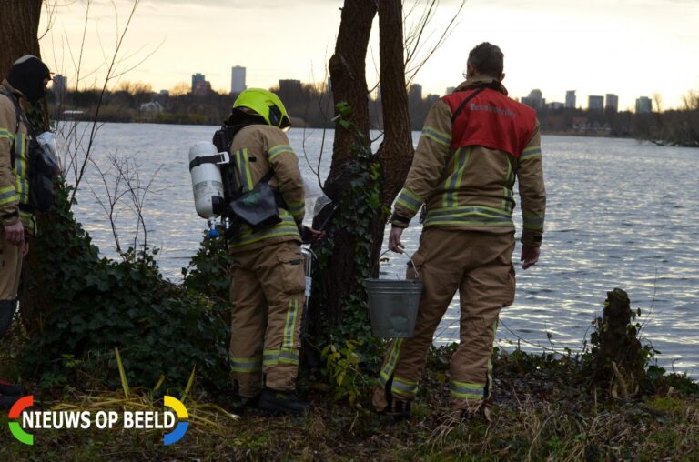 Wilgenboom vliegt in brand Prinses Beatrixplantsoen Strekkade Rotterdam