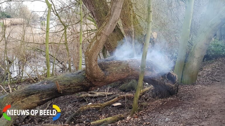 Boom in stukken gezaagd om de kunnen blussen Goejanverwelledijk Gouda