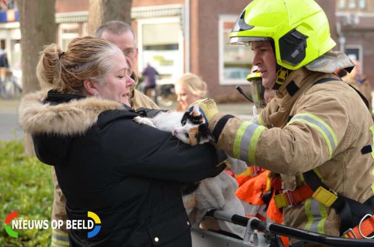 Brandweer redt kat uit dakgoot Wilhelminastraat Berkel en Rodenrijs