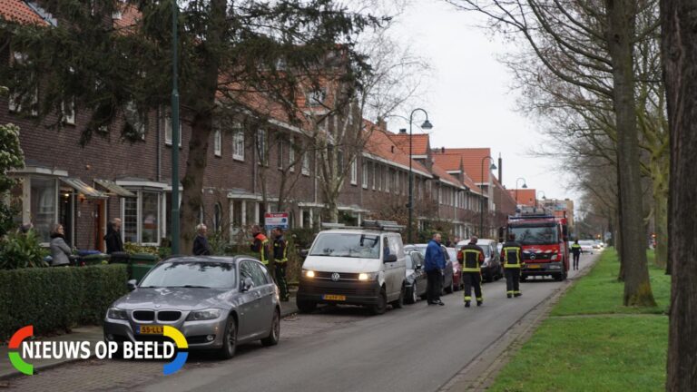 Boom dreigt om tevallen, bewoners halen auto’s weg Joubertstraat Gouda