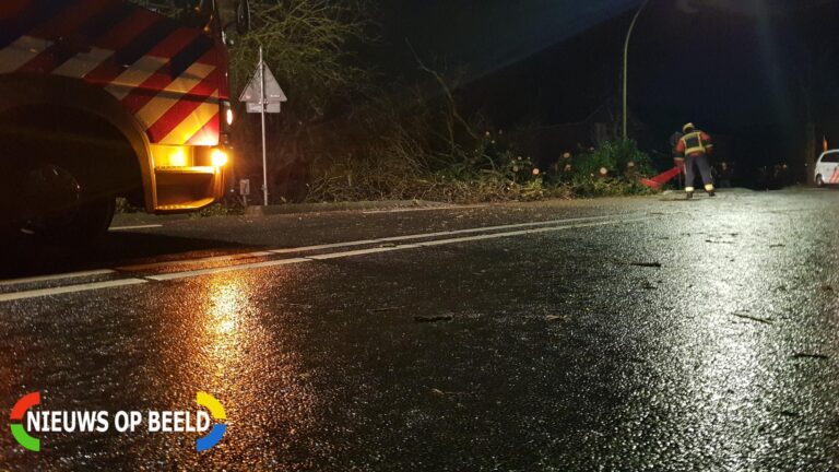 boom valt omver en blokkeert fietspad Provincialeweg West – N228 Haastrecht