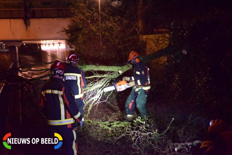 Voorbijgangers vinden omgeknakte boom op fietspad Zwarteweg Gouda