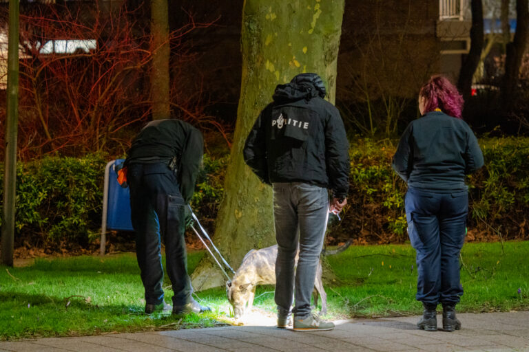 Meisje van fiets getrokken en misbruikt P.C Boutensingel Capelle aan den IJssel (video)