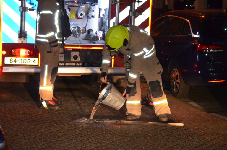 Brandje in keuken snel geblust Ringdijk Rotterdam