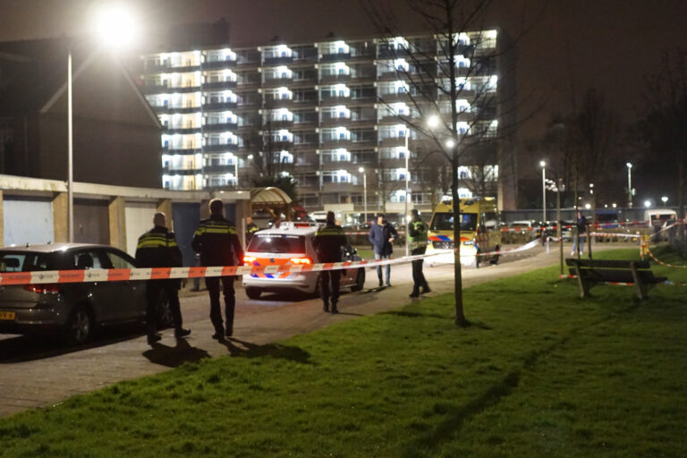 “Alphenaar stak in psychose in op zijn familie”; OM eist TBS tegen 19-jarige Alphenaar