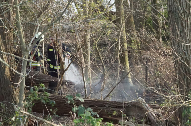 Bosschage langs rivier de Lek in brand Lekdijk West Bergambacht