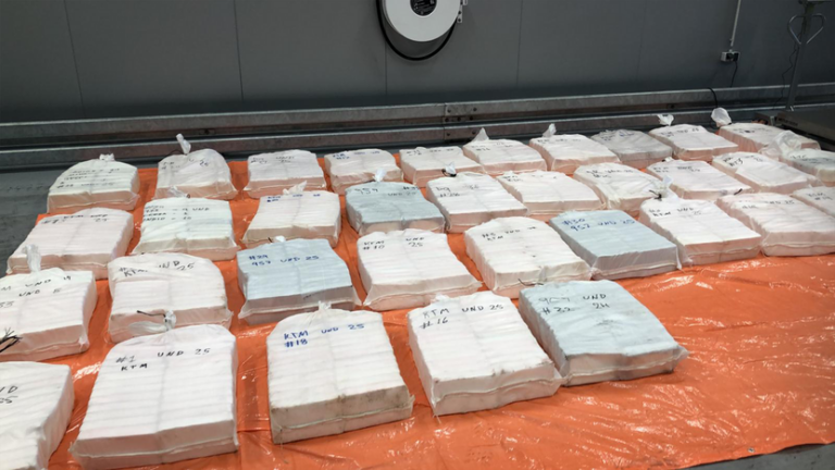 Douane onderschept 865 kilo cocaïne in container met ananassen