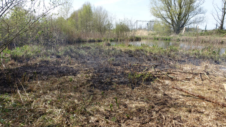 Stuk grasveld vat vlam Telemannpad Gouda