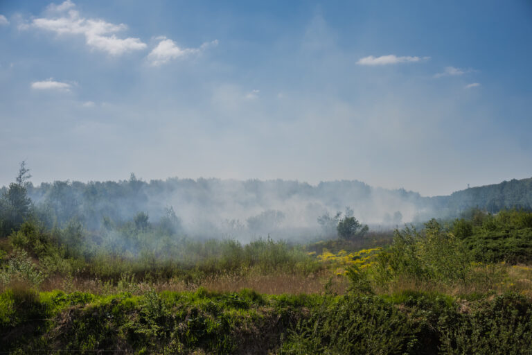 Brandweer blust grote natuurbrand in Zoetermeer