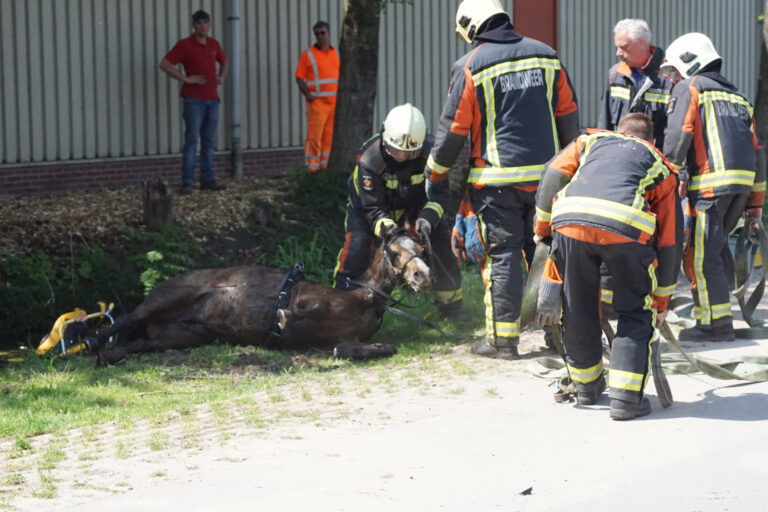 Paard met wagen belanden in sloot Tentweg Stolwijk