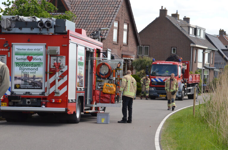 Paard in stal in problemen geraakt Rottekade Bergschenhoek