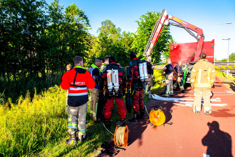 Paard in sloot overleden Rhoonse Baan Rhoon