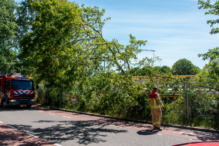 Brandweer verwijdert scheef hangende boom Viaductweg Rhoon