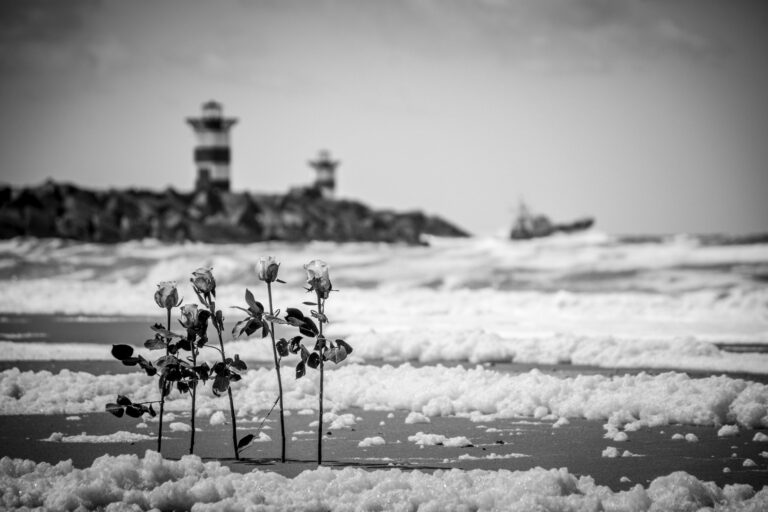 Reddingsbrigade niet meer actief op zoek naar vijfde slachtoffer surfdrama Scheveningen