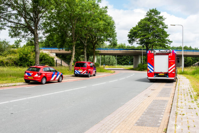 Vrouw met verward gedrag van spoor gehaald Zwaardijk Poortugaal