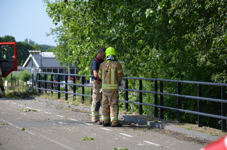 Gevaarlijke loshangende tak verwijderd door brandweer Schieveensedijk Rotterdam