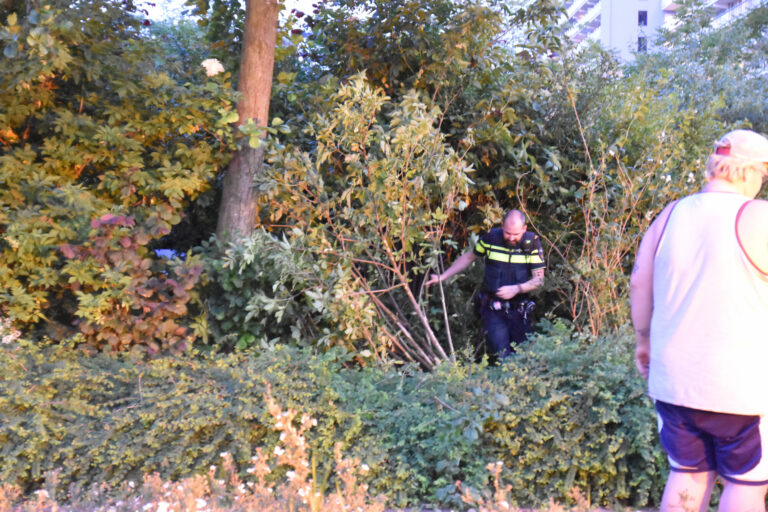 Auto in bosjes geparkeerd bij verwisselen rem en gaspedaal Bernweg Vlaardingen