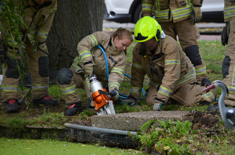 Brandweer redt eendenfamilie Huijgenslaan Berkel en Rodenrijs